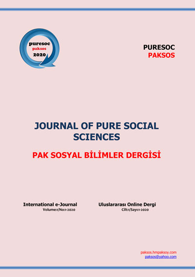 Journal of Pure Social Sciences (PAK SOSYAL BİLİMLER DERGİSİ)-Cover