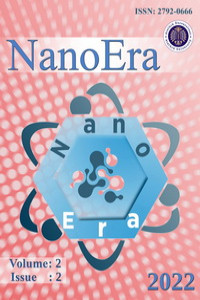 NanoEra-Cover