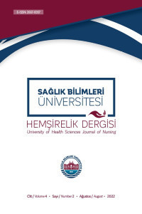 Sağlık Bilimleri Üniversitesi Hemşirelik Dergisi-Cover