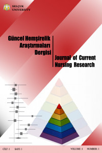 Güncel Hemşirelik Araştırmaları Dergisi-Cover