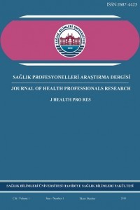 Sağlık Profesyonelleri Araştırma Dergisi-Cover
