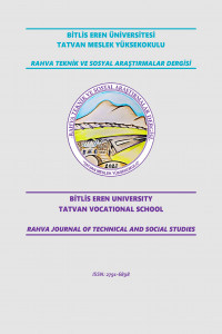 Rahva Teknik ve Sosyal Araştırmalar Dergisi-Cover