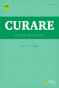 CURARE Journal of Nursing-Cover