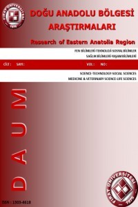 Fırat Üniversitesi Doğu Araştırmaları Dergisi-Cover