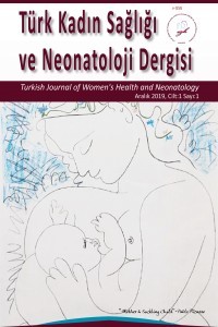 Türk Kadın Sağlığı ve Neonatoloji Dergisi-Cover
