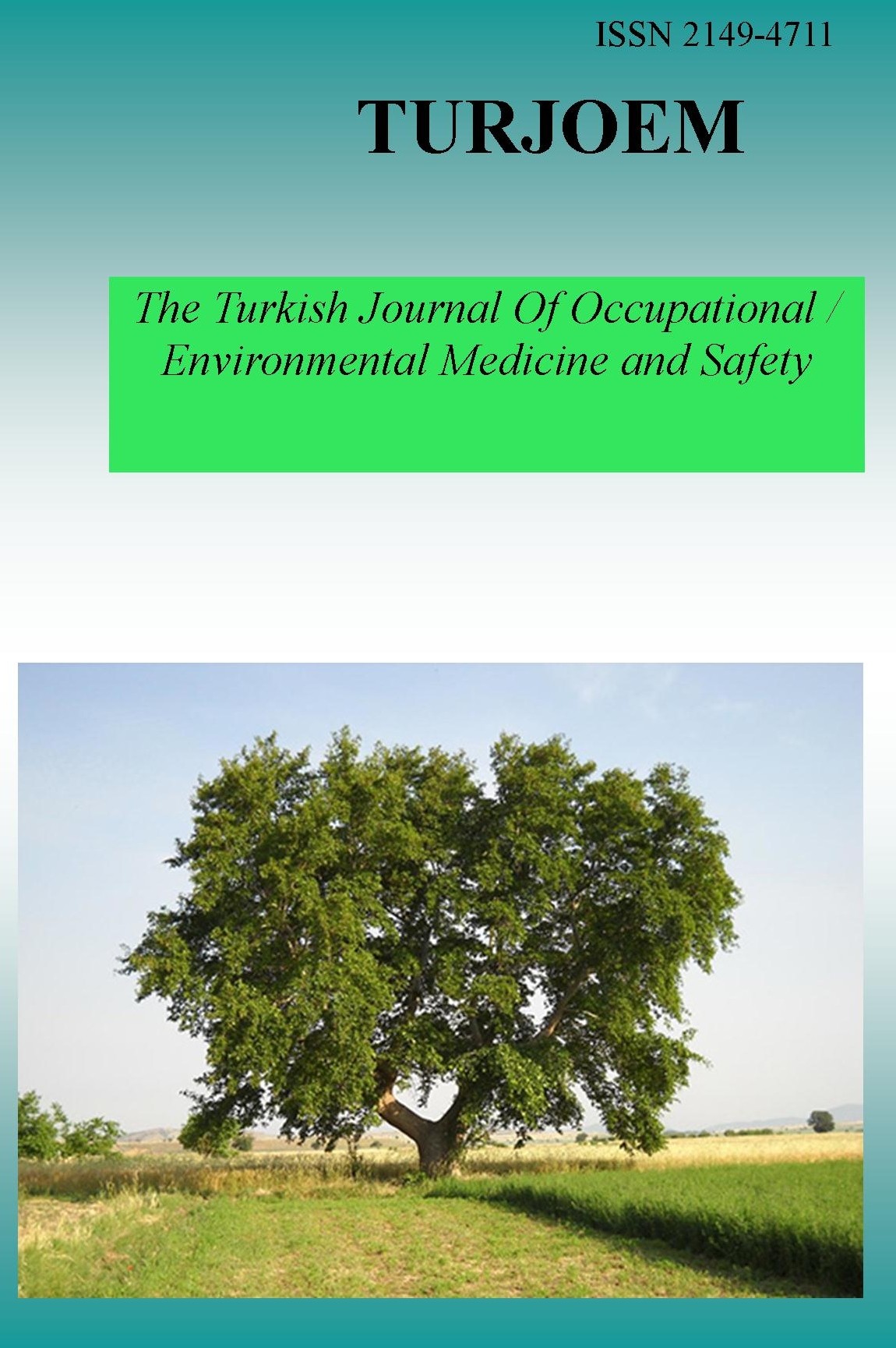 The Turkish Journal Of Occupational / Environmental Medicine and Safety-Cover