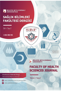 Bilecik Şeyh Edebali Üniversitesi Sağlık Bilimleri Fakültesi Dergisi-Cover