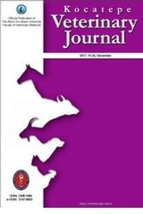 Kocatepe Veteriner Dergisi