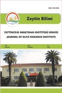 Zeytin Bilimi-Cover