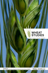 Wheat Studies-Cover
