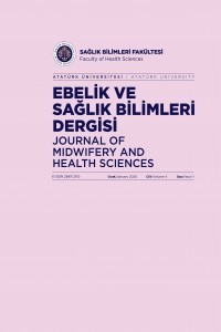 Ebelik ve Sağlık Bilimleri Dergisi-Cover