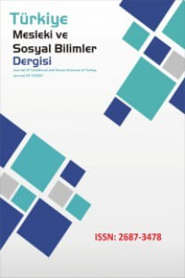 Türkiye Mesleki ve Sosyal Bilimler Dergisi-Cover