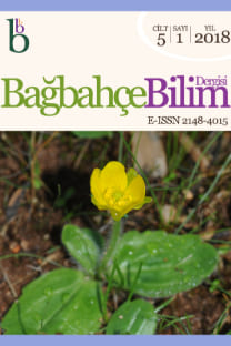 Bağbahçe Bilim Dergisi-Cover