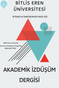 Akademik İzdüşüm Dergisi-Cover