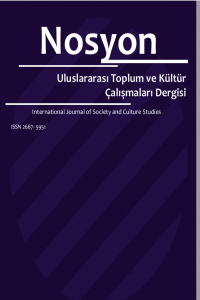 NOSYON: Uluslararası Toplum ve Kültür Çalışmaları Dergisi-Cover