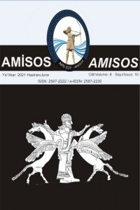 Amisos-Cover