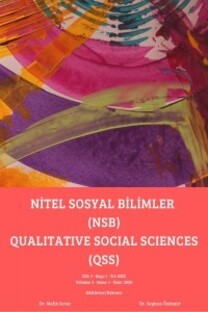 Nitel Sosyal Bilimler-Cover