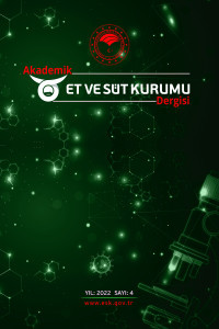 Akademik Et ve Süt Kurumu Dergisi-Cover