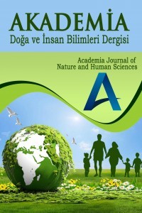 Akademia Doğa ve İnsan Bilimleri Dergisi-Cover