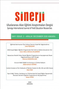 Sinerji Uluslararası Alan Eğitimi Araştırmaları Dergisi-Cover