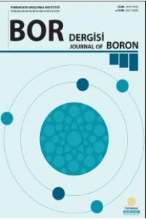 Bor Dergisi-Cover