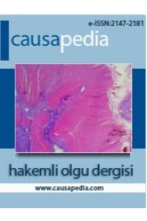 Causapedia