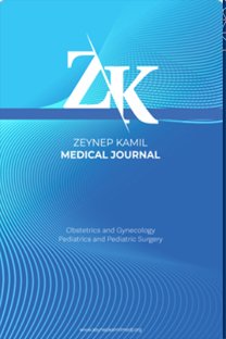 Zeynep Kamil medical journal (Online)-Cover