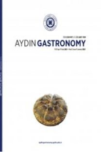 AYDIN GASTRONOMY-Cover